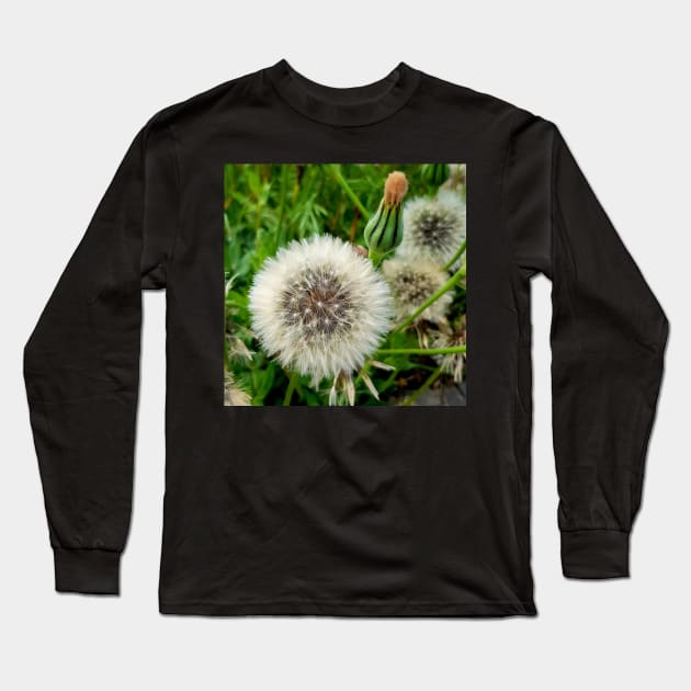 Magnificent dandelion Long Sleeve T-Shirt by GribouilleTherapie